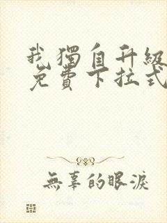 我独自升级漫画免费下拉式在线