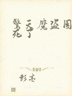 惊天魔盗团3谁死了封面