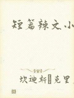 短篇辣文小说