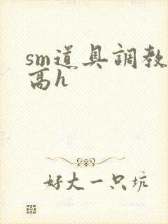 sm道具调教文高h封面
