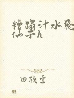 糟蹋汁水飞溅的仙子h