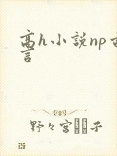 高h小说np古言