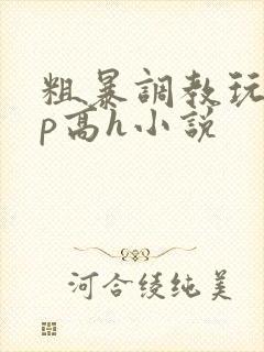 粗暴调教玩弄np高h小说