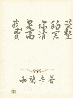 我是你的荣耀免费高清完整版观看