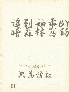 追到她乖BY黑暗森林写的小说