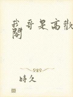 我哥是高欢笔趣阁