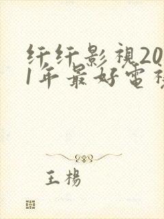 纤纤影视2021年最好电视剧是