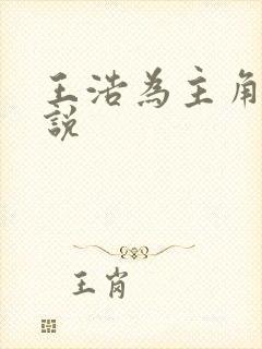 王浩为主角的小说封面