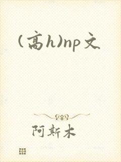 (高h)np文