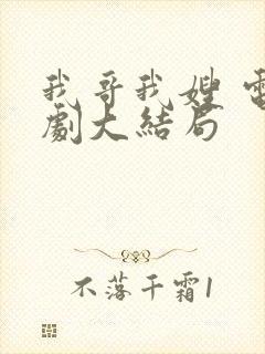 我哥我嫂 电视剧大结局