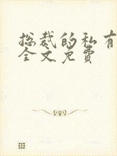 总裁的私有宝贝全文免费