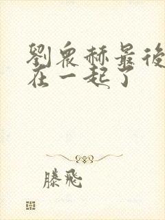 刘众赫最后和谁在一起了封面