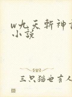 w九天斩神诀》小说