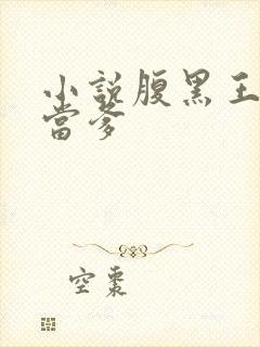 小说腹黑王爷喜当爹