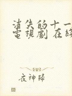 消失的十一层 电视剧 在线观看