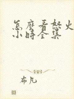 怎么看怒火12小时全集