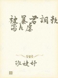 被暴君调教成禁脔h虐