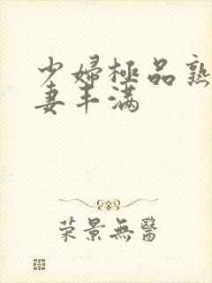 少妇极品熟妇人妻丰满