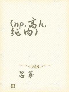 (np,高h,纯肉)