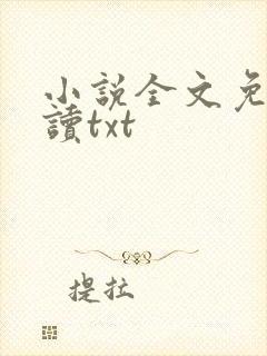 小说全文免费阅读txt