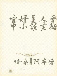 官婿美人香刘志中小说完结了吗