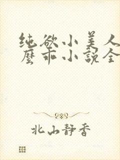 纯欲小美人他那么乖小说全文阅读
