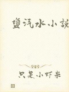 盐汽水小说