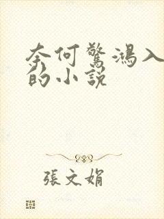 奈何惊鸿入我心的小说