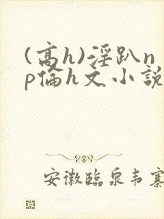(高h)淫趴np伦h文小说封面