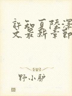 许知夏陆泽言全文最新章节免费阅读