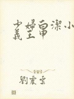 少妇白洁小说高义王申