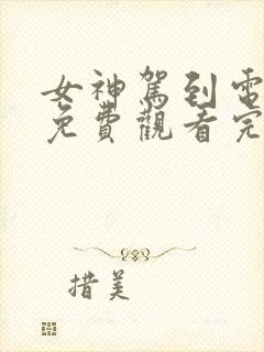 女神驾到电视剧免费观看完整版