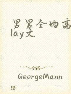 男男全肉高hplay文封面