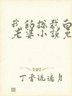 我的总裁白富美老婆小说免费阅读