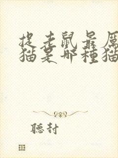 捉老鼠最厉害的猫是哪种猫