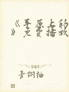 《平原上的摩西》免费播放