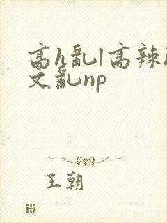 高h乱l高辣h文乱np