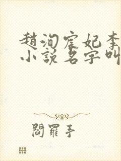 赵洵宸妃李霜华小说名字叫什么封面