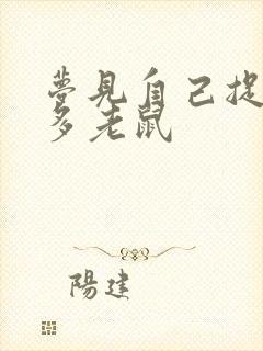 梦见自己捉了好多老鼠封面