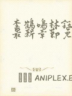 李鹤鸣林钰小说最新章节免费阅读封面