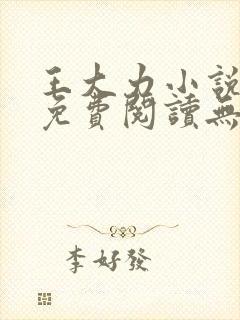 王大力小说小说免费阅读无弹窗