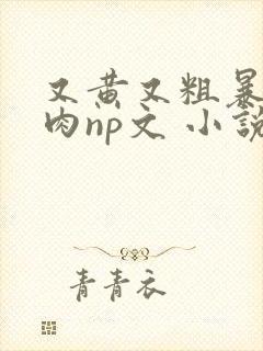 又黄又粗暴的纯肉np文 小说