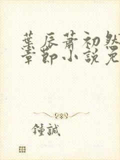 叶辰萧初然最新章节小说免费阅读封面