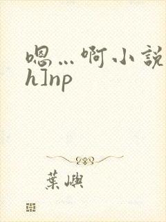 嗯…啊小说[高h]np