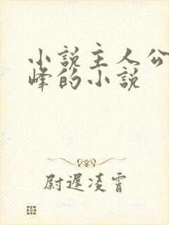 小说主人公叫林峰的小说