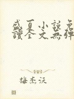 盛夏小说免费阅读全文无弹窗封面