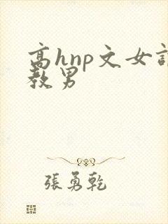 高hnp文女调教男