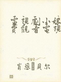 电视剧小娘惹免费观看电视剧大全封面