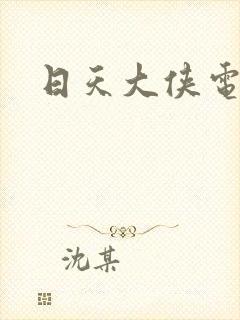 日天大侠电视剧