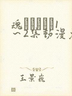 魂インサート1～2集动漫免费播放